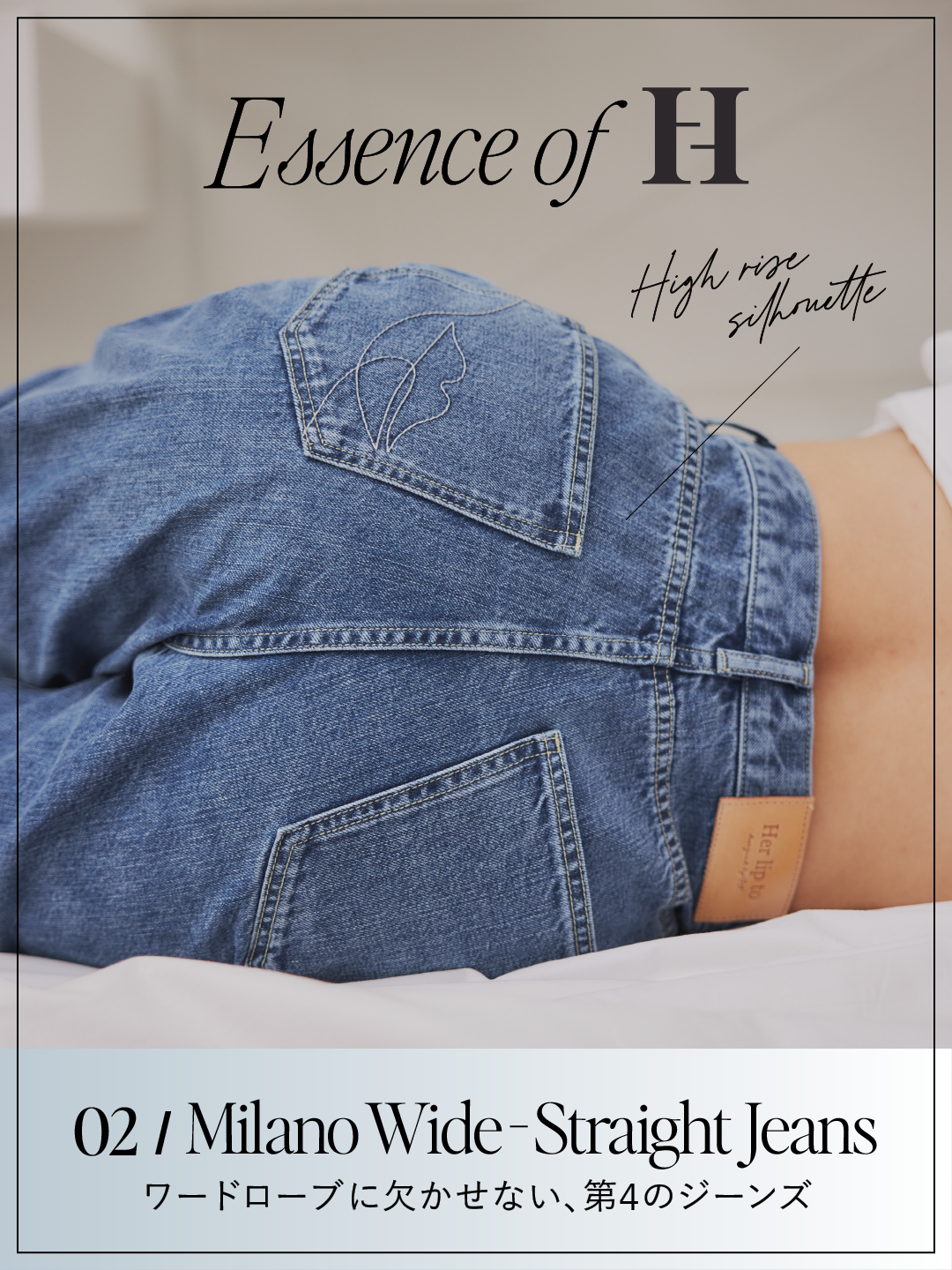 Essence of H vol.2