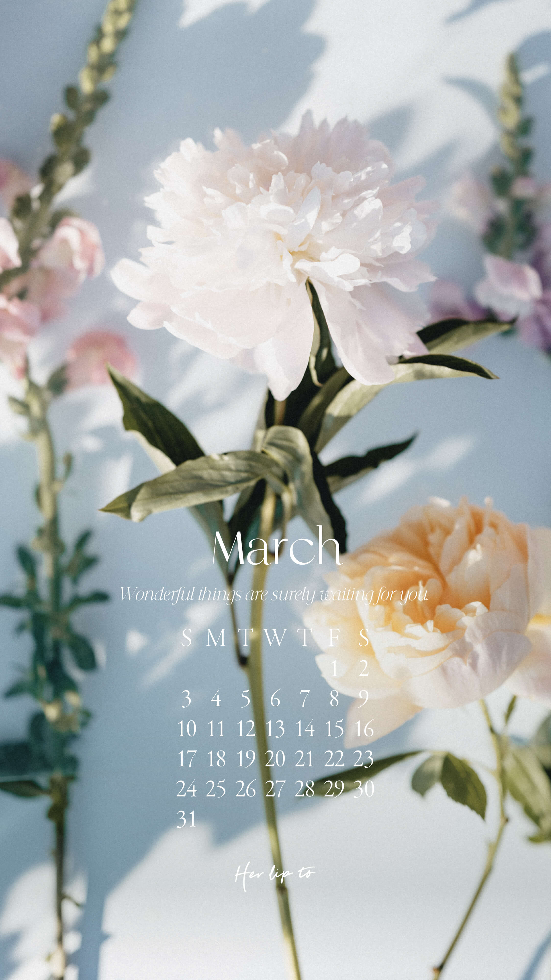 Monthly Calendar Monthly Calendar