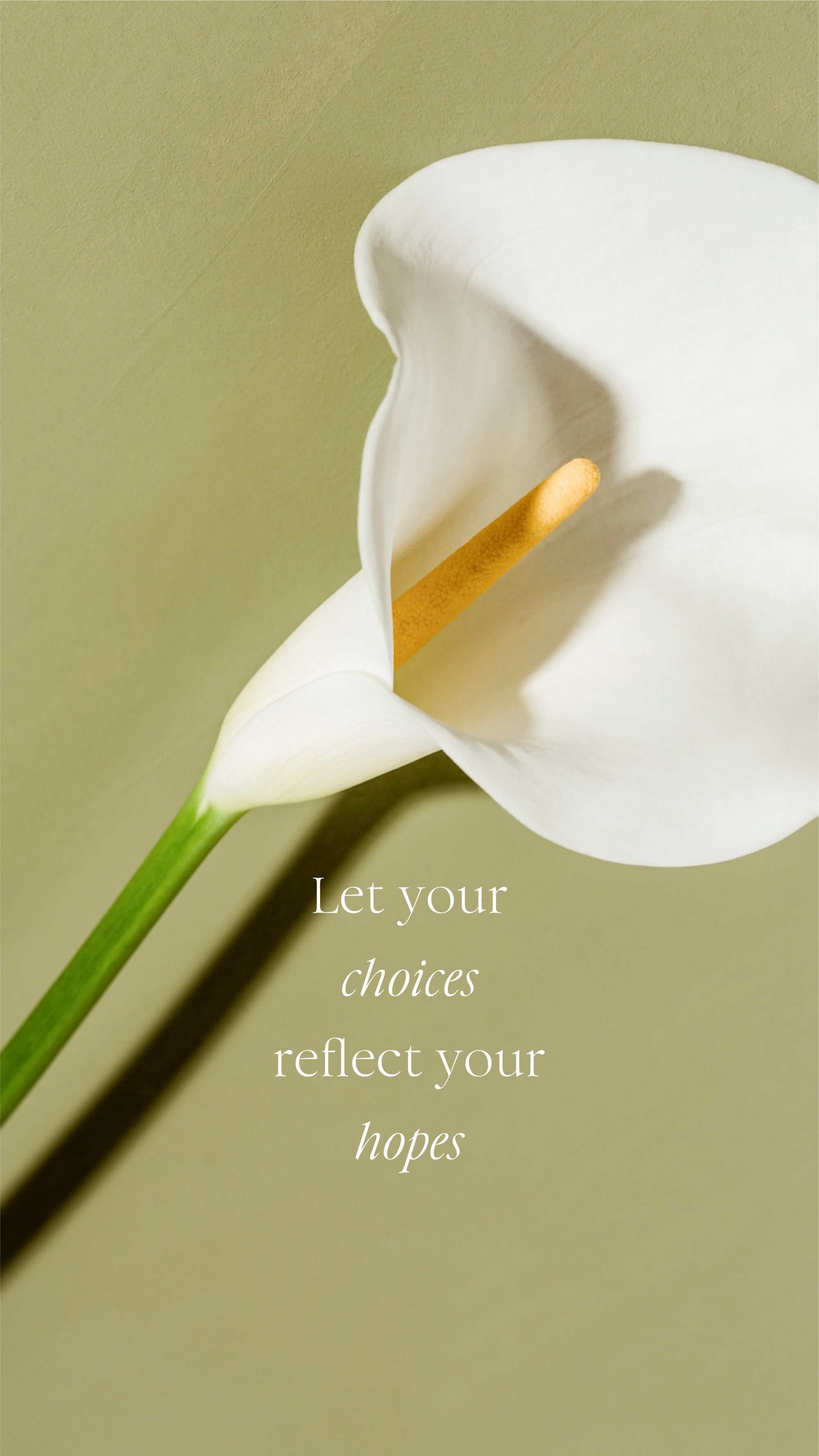 HLT Weekly Message