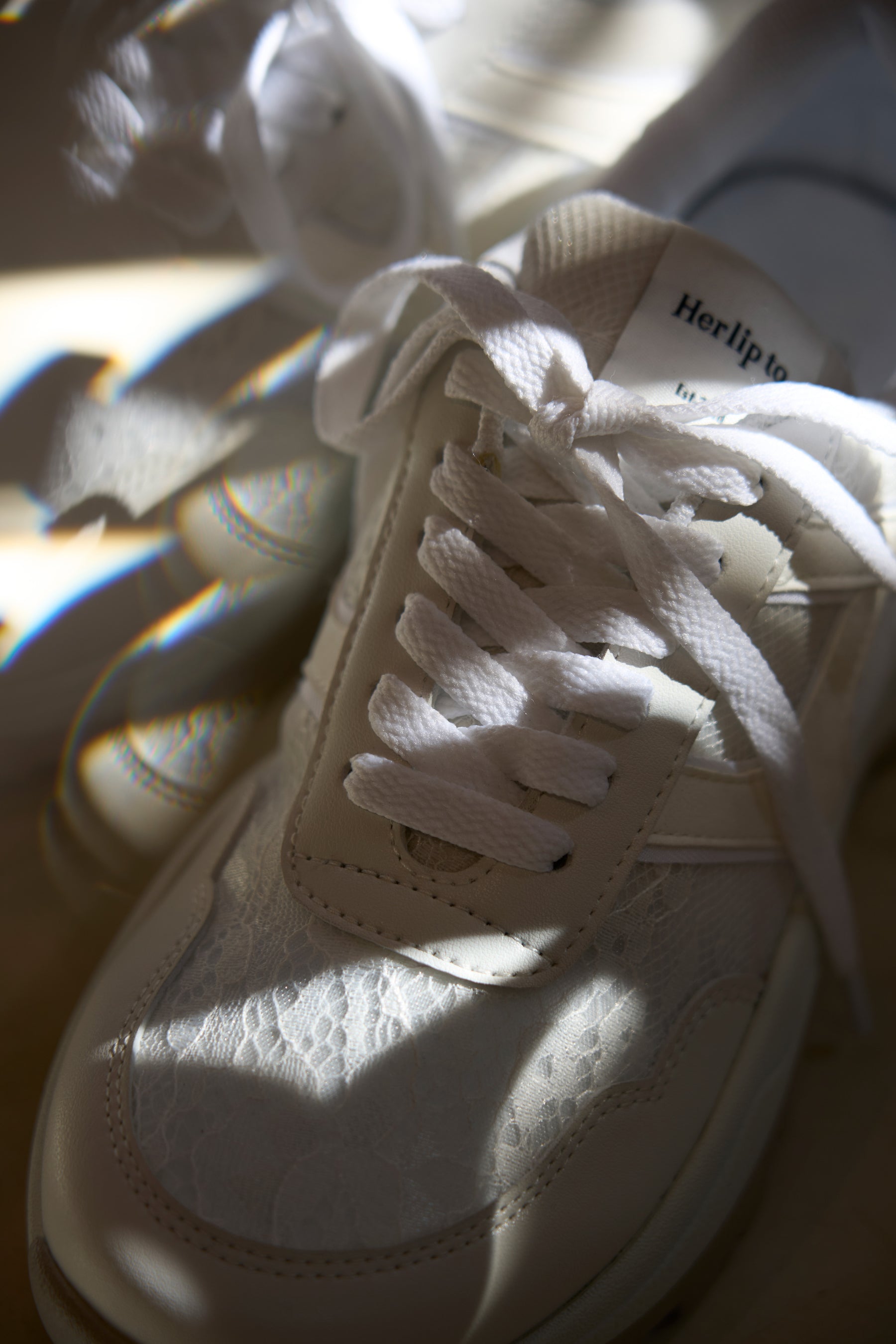 【新色】Le City HLT Sneakers