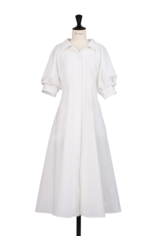 Vienna Volume Sleeve Shirt Dress