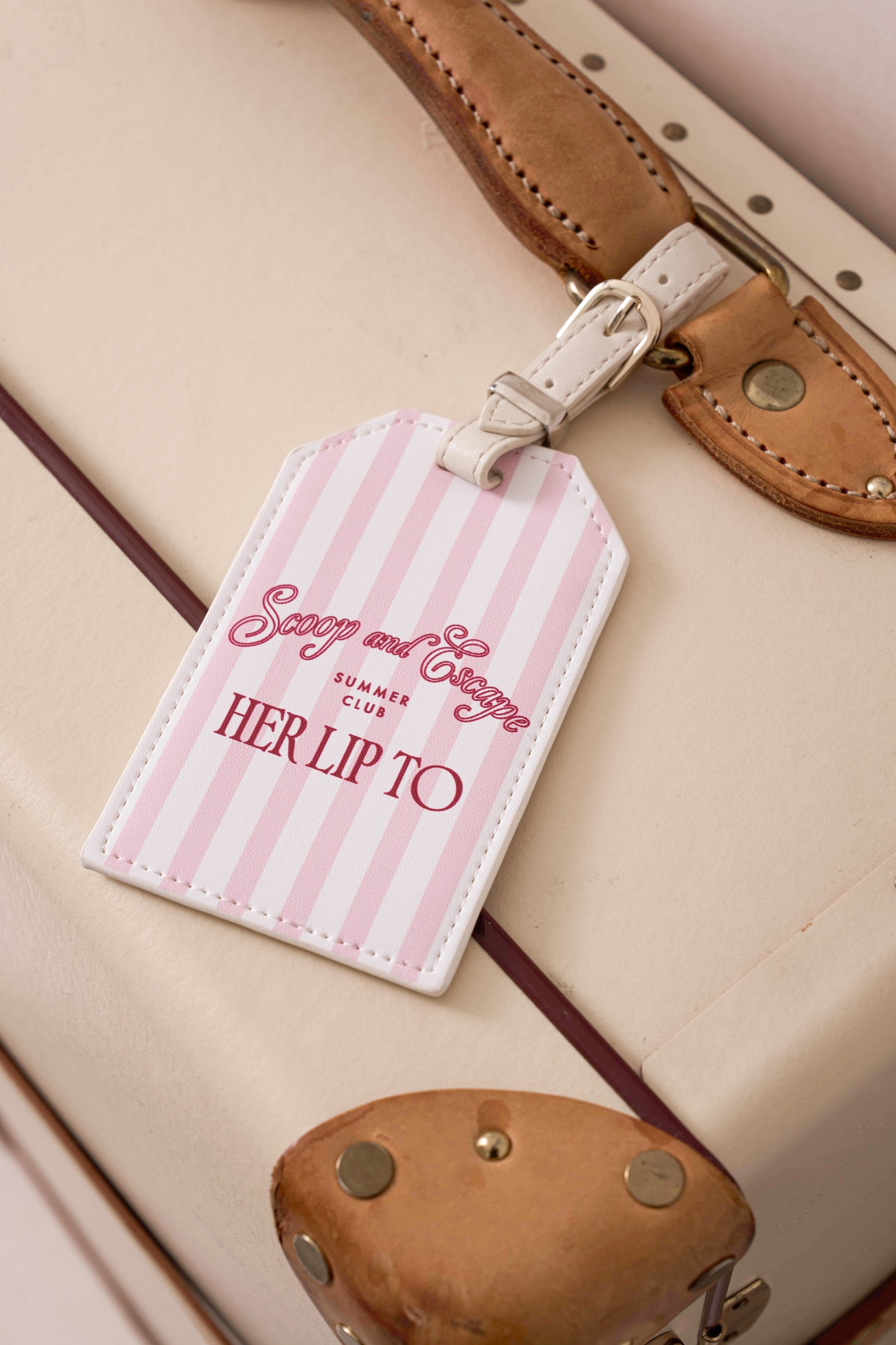 【Stripe】Luggage Tag