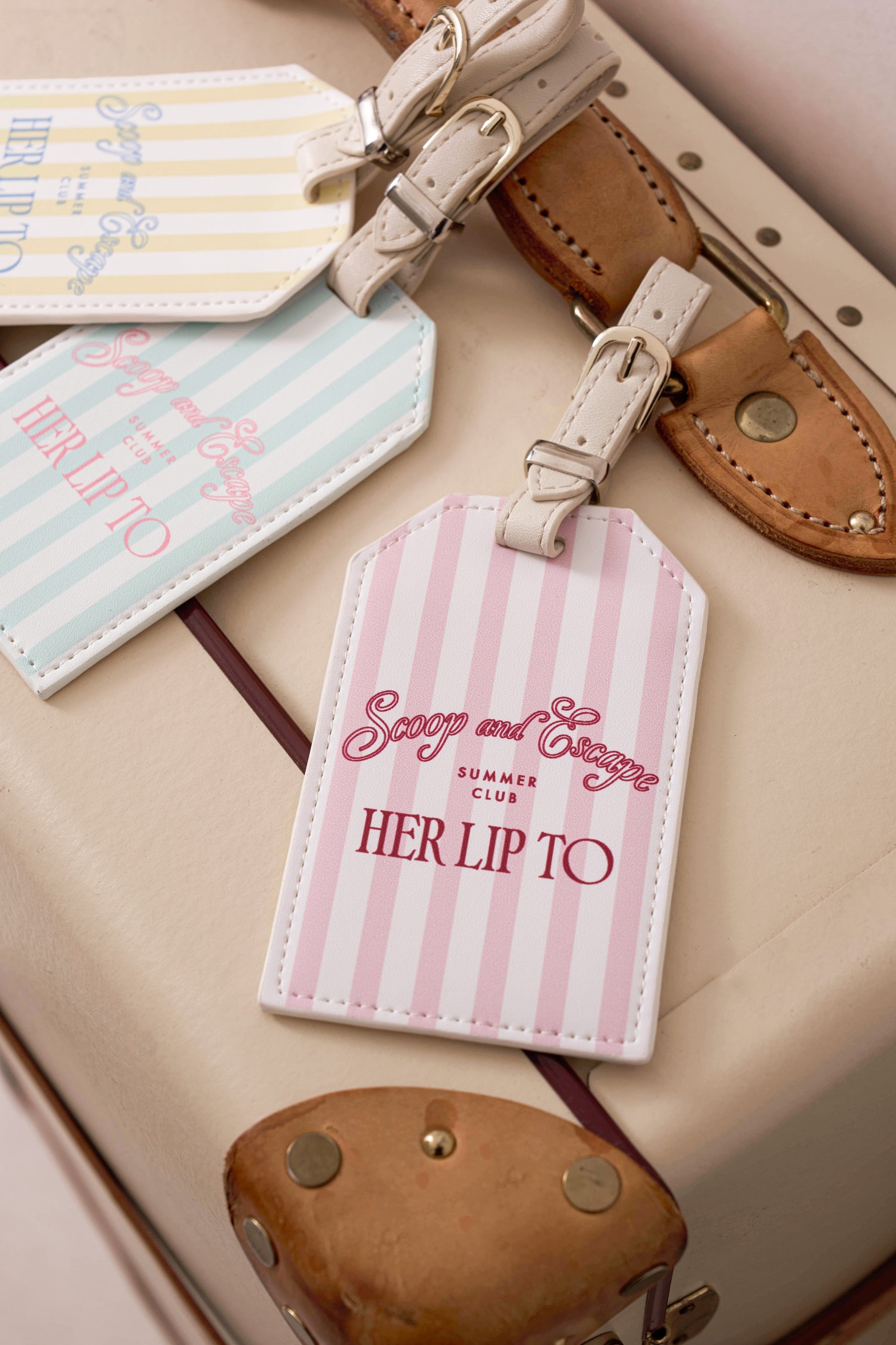 【Stripe】Luggage Tag