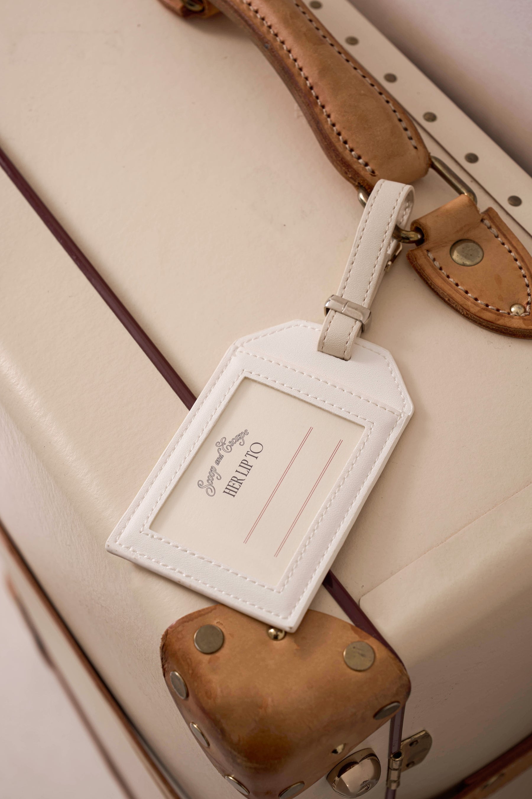 【Stripe】Luggage Tag