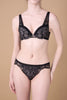 Rose Veil Shorts