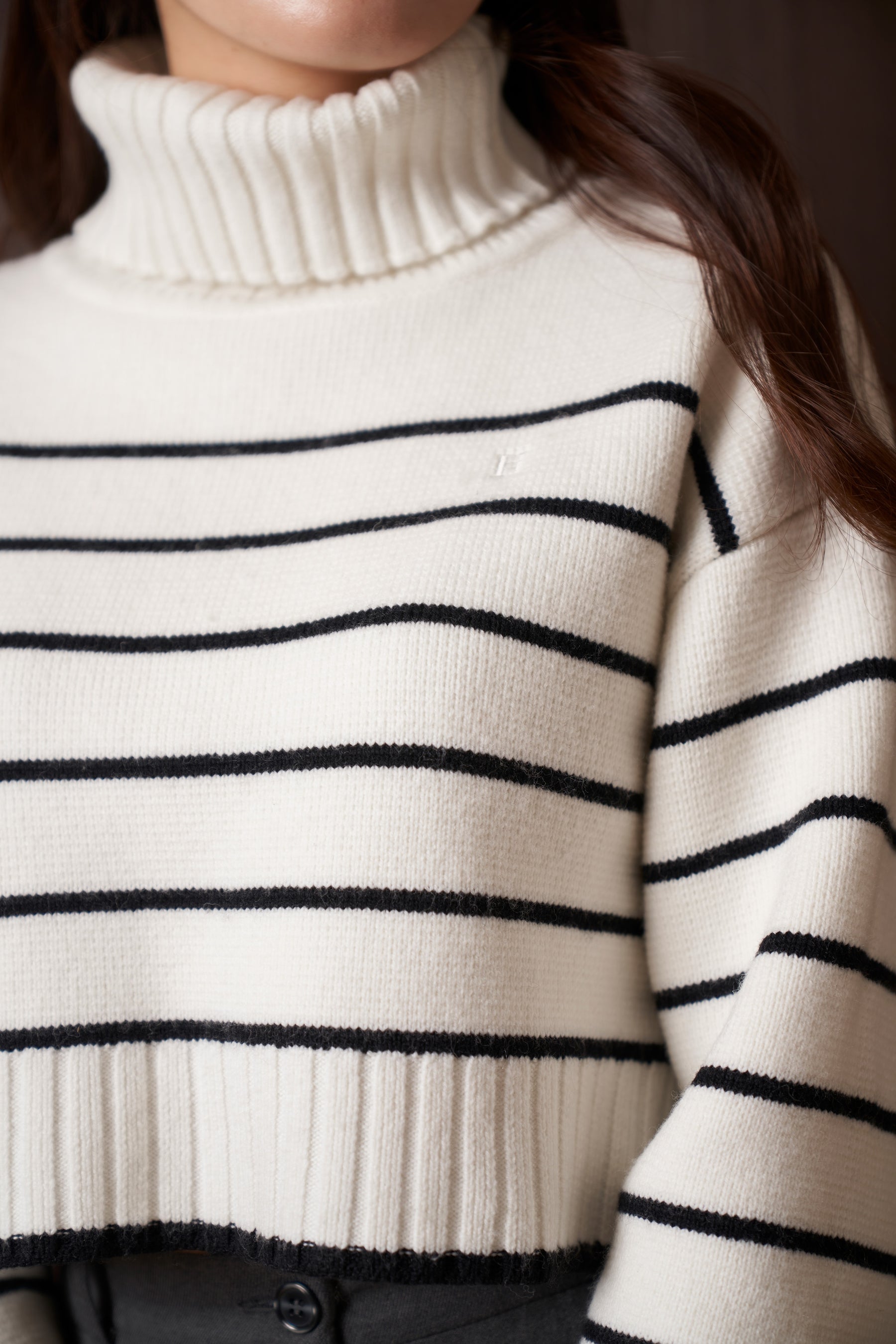 Striped Turtleneck Knit Pullover
