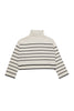 Striped Turtleneck Knit Pullover