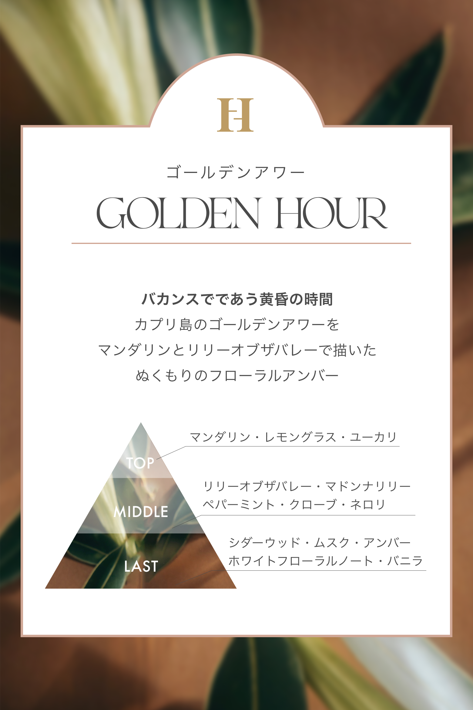 Perfume Oil - GOLDEN HOUR -