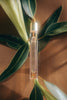 Roll-on Perfume Oil - GOLDEN HOUR -