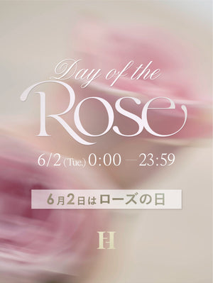 【lnfo】Day of the Rose