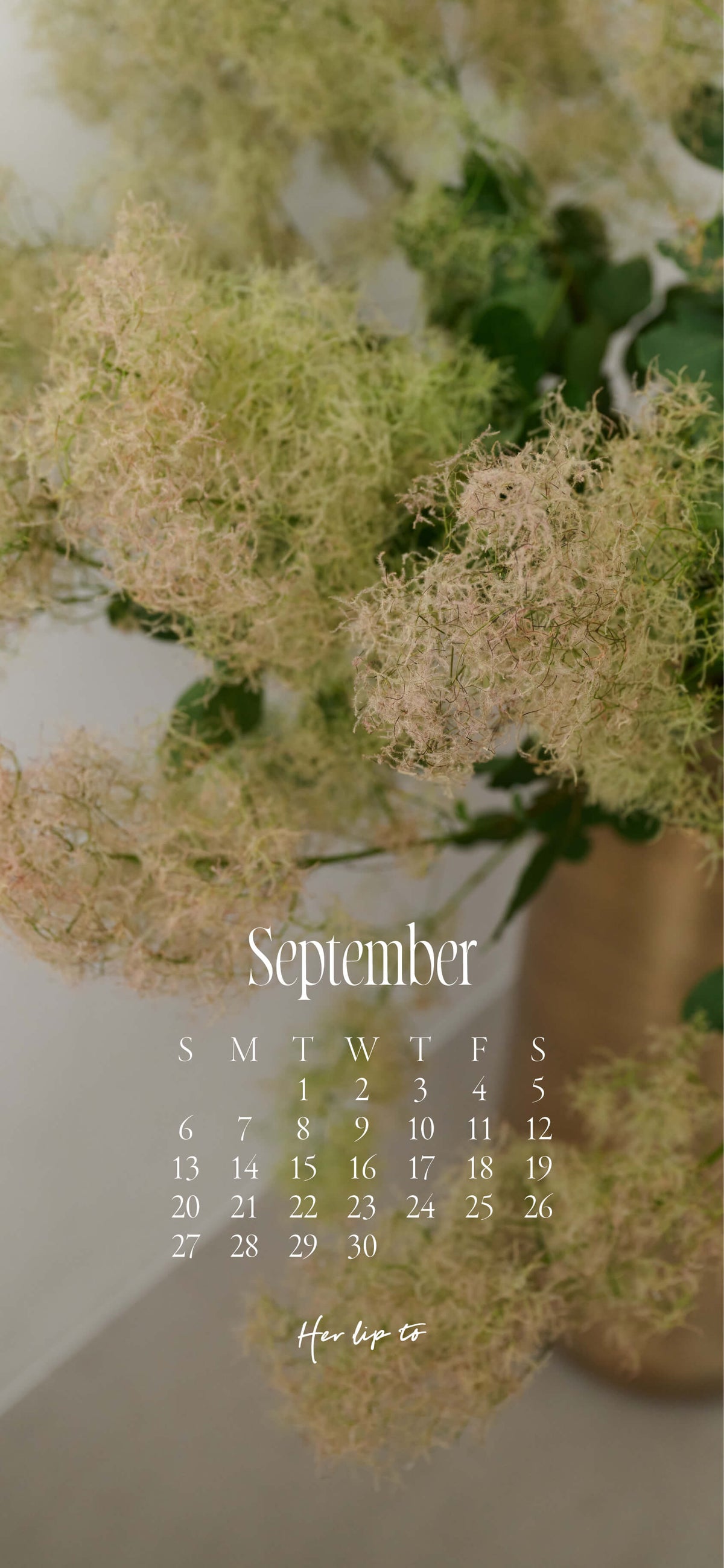 Monthly Calendar