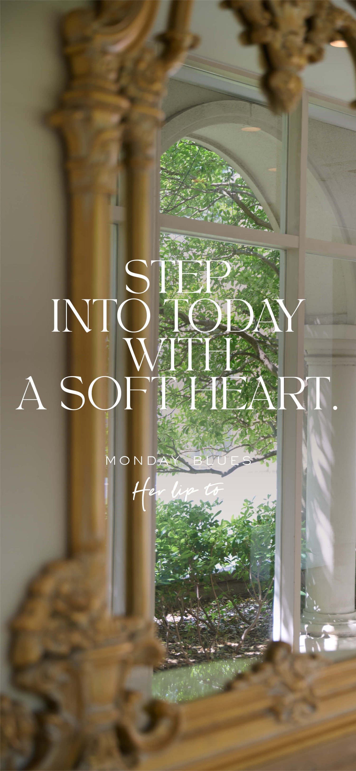 HLT Weekly Message