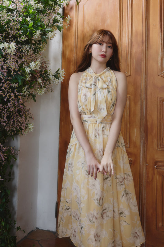 Lauris Chiffon Long Dress