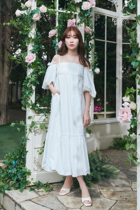 Mia Volume Sleeve Dress		