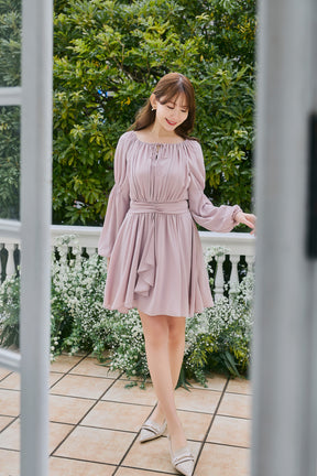 Anaelle Chiffon Mini Dress