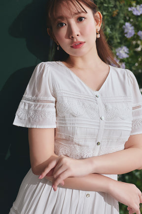 Clair Pintuck Lace Dress