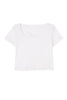 【white】［Essentia］Essentia Basic Tee