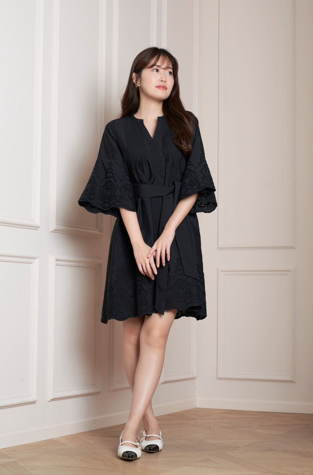 Embroidery Poplin Mini Dress