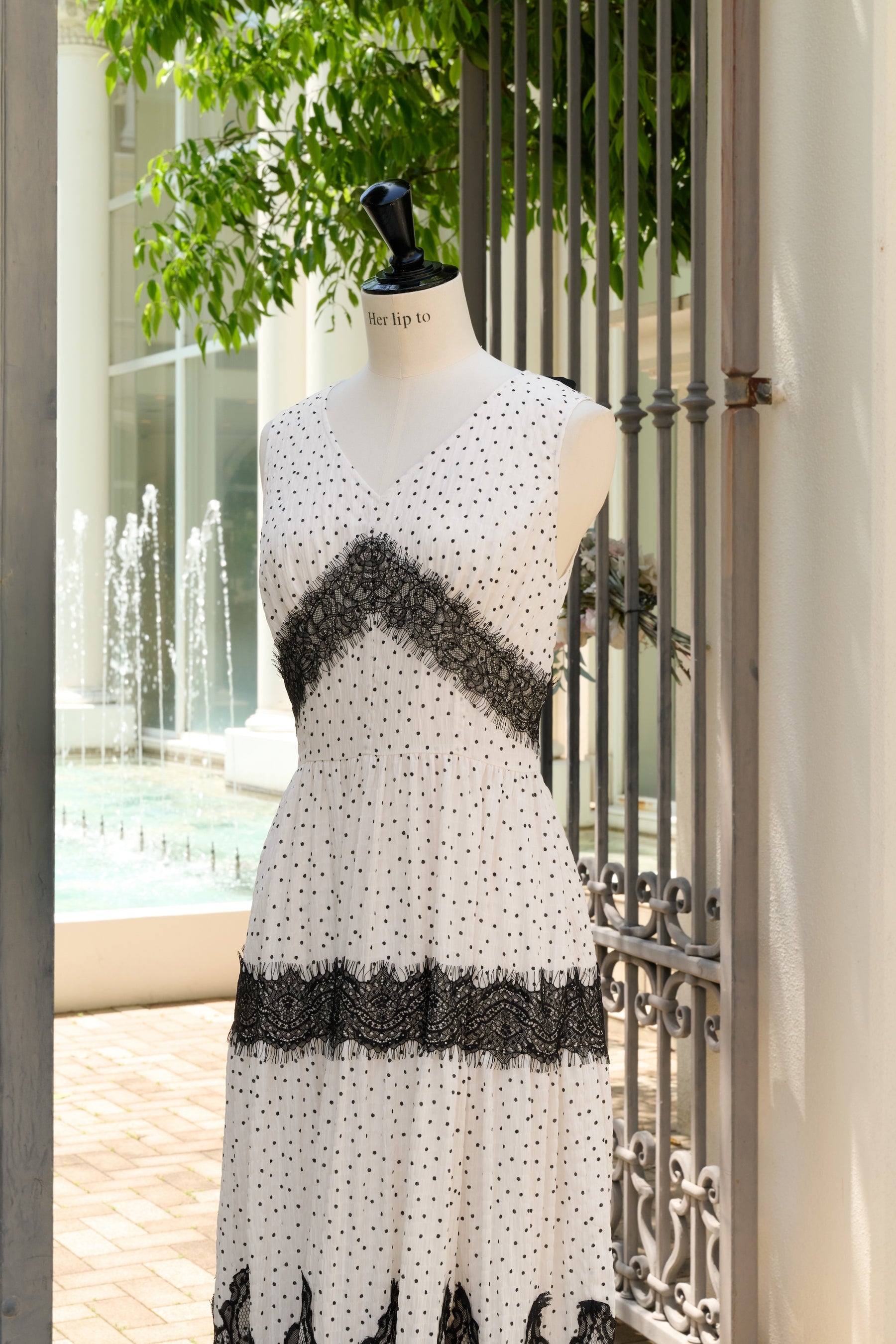 Clarine Polka Dot Dress