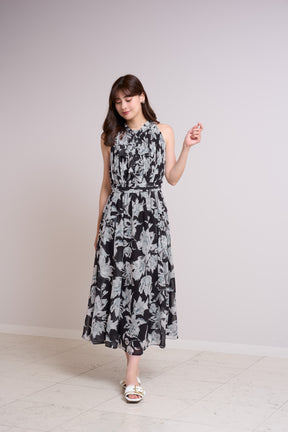Lauris Chiffon Long Dress
