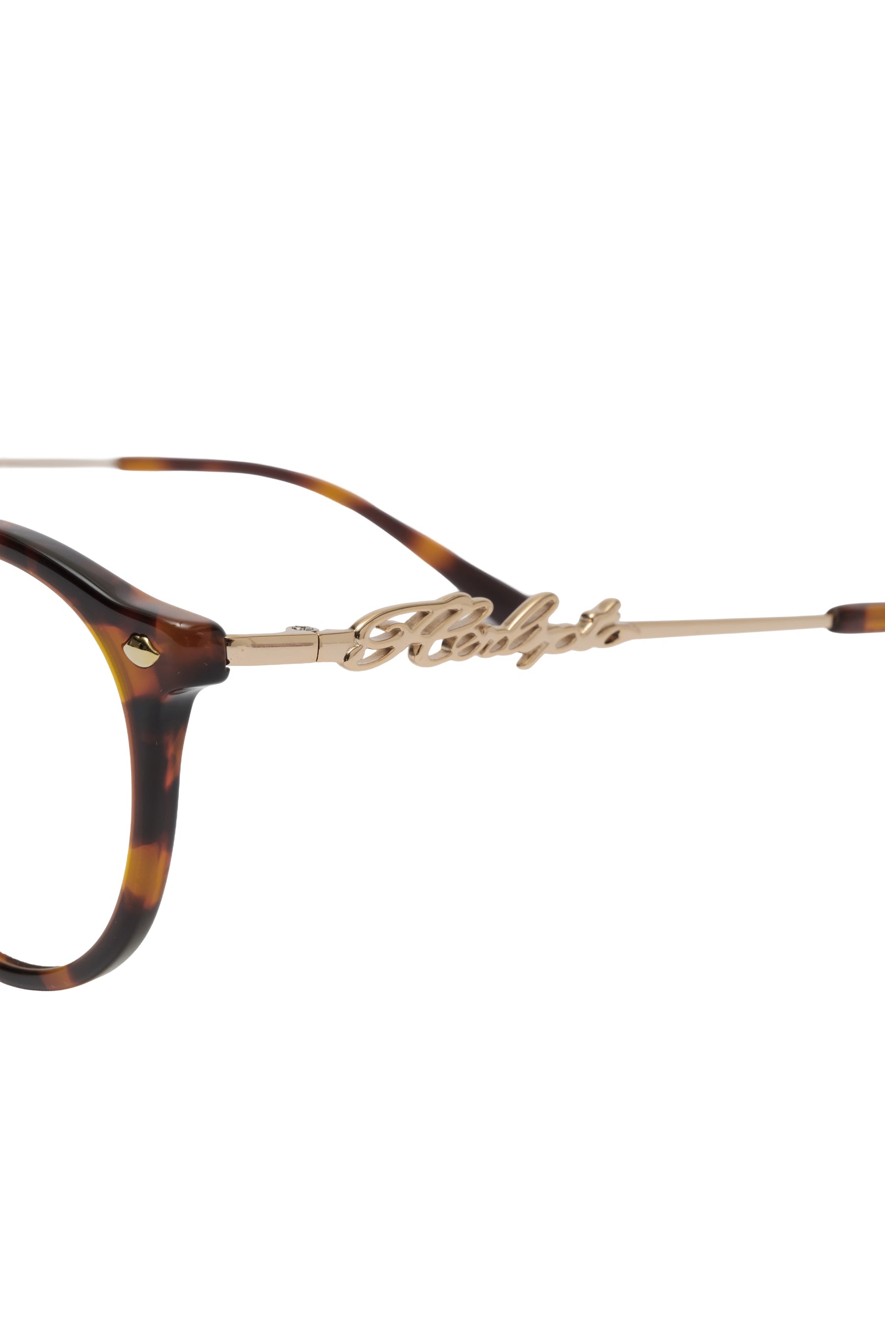 HLT Tortoiseshell Glasses