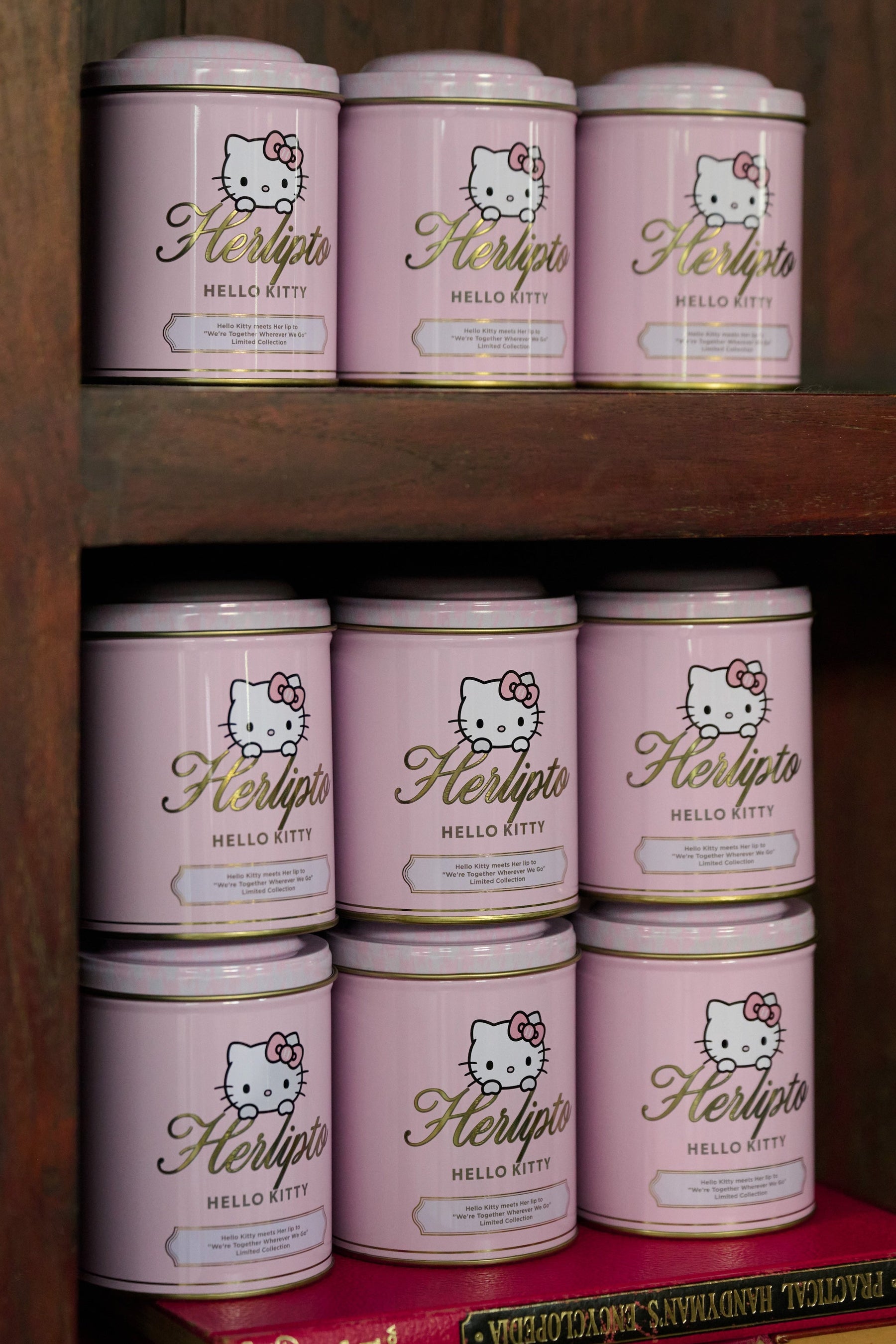 HLT x Hello Kitty Tote Bag (Tin)
