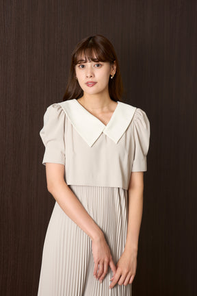 Butterfly Collar Pleated Dress