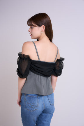 Sheer Off-the-Shoulder Top
