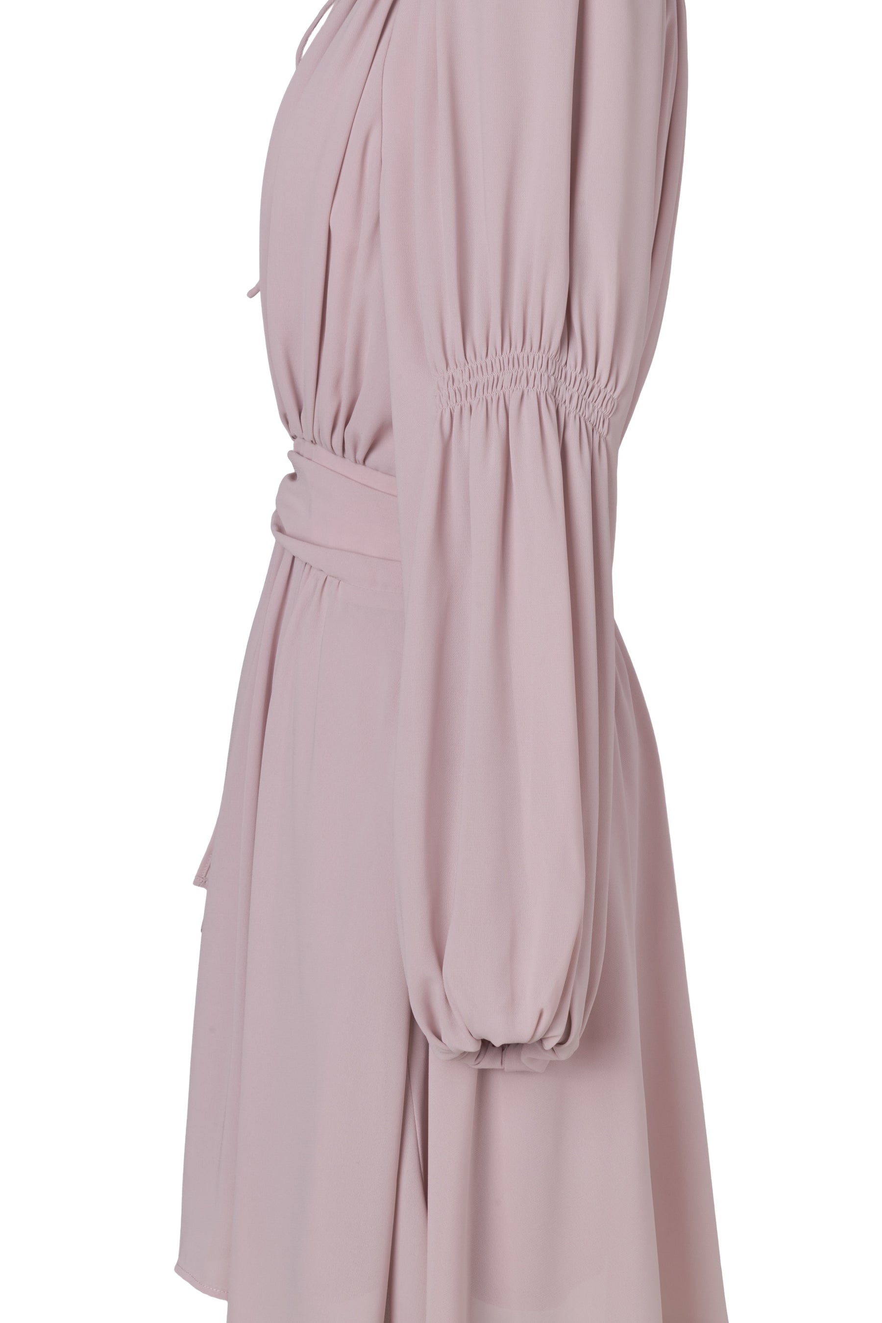 Anaelle Chiffon Mini Dress