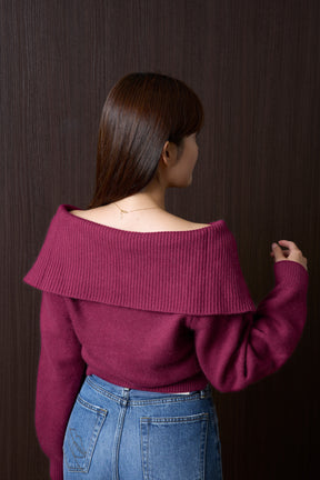 Big Collar  Knit Top