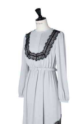 Rosaline Lace Trimmed Dress