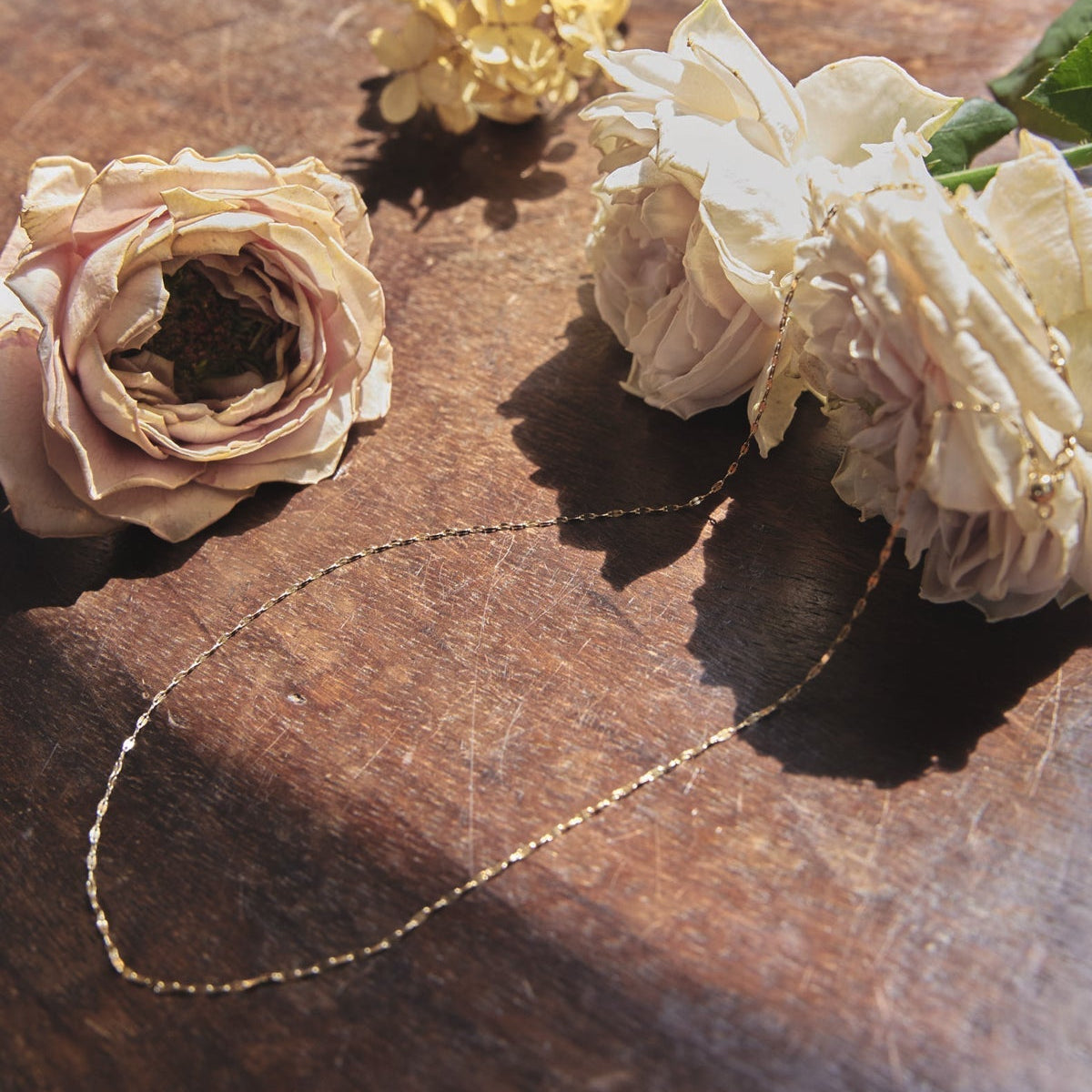 Petale Chain Necklace