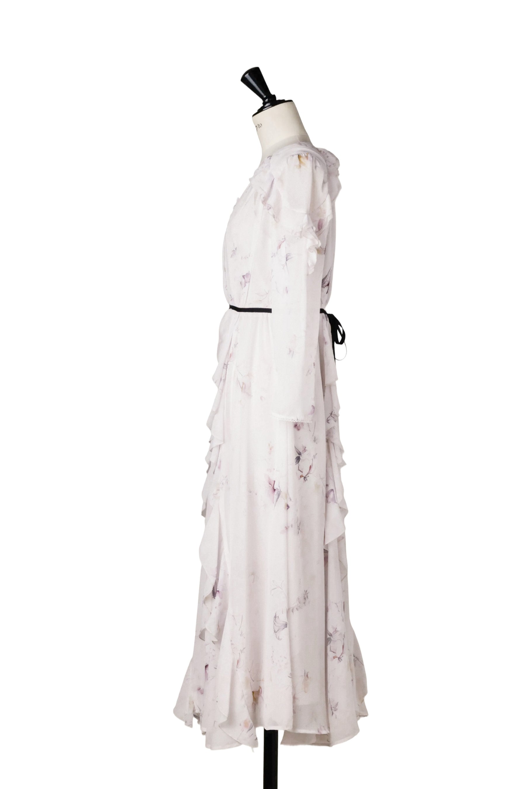 Isette Floral Chiffon Dress