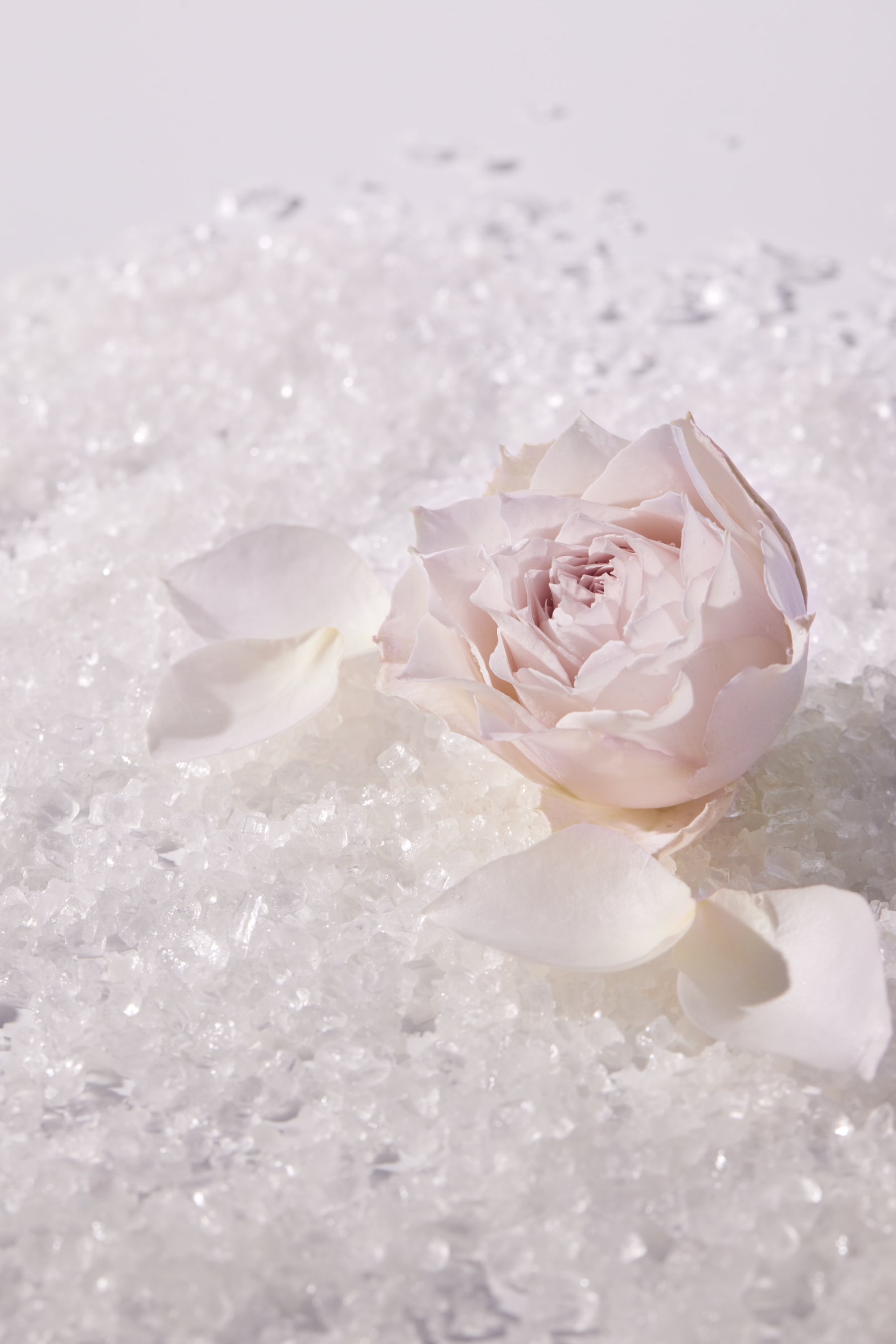 [End of listing] CRYSTAL BATH SALT - ROSE BLANCHE -