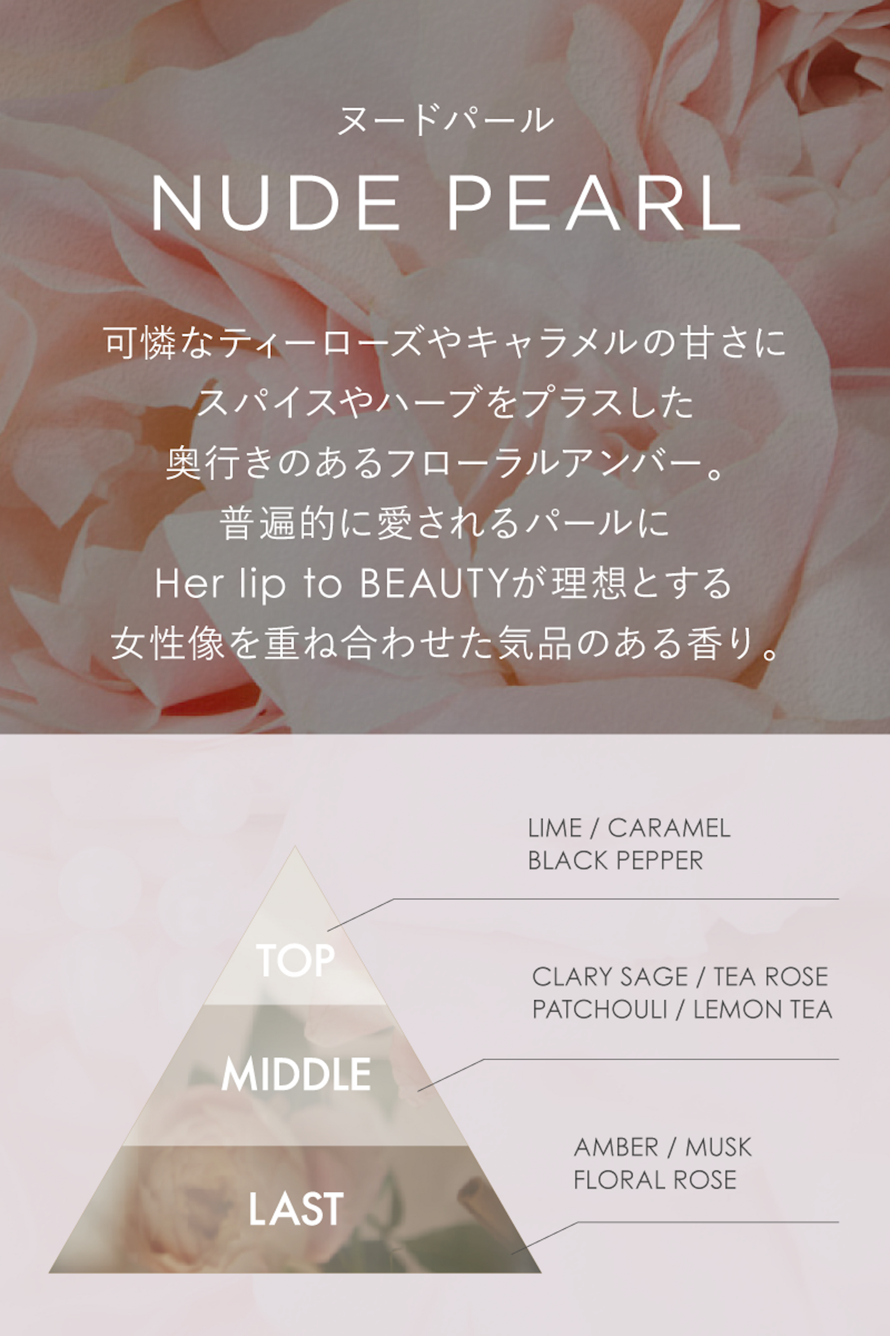 FRAGRANCE LETTER - Eau de Parfum -