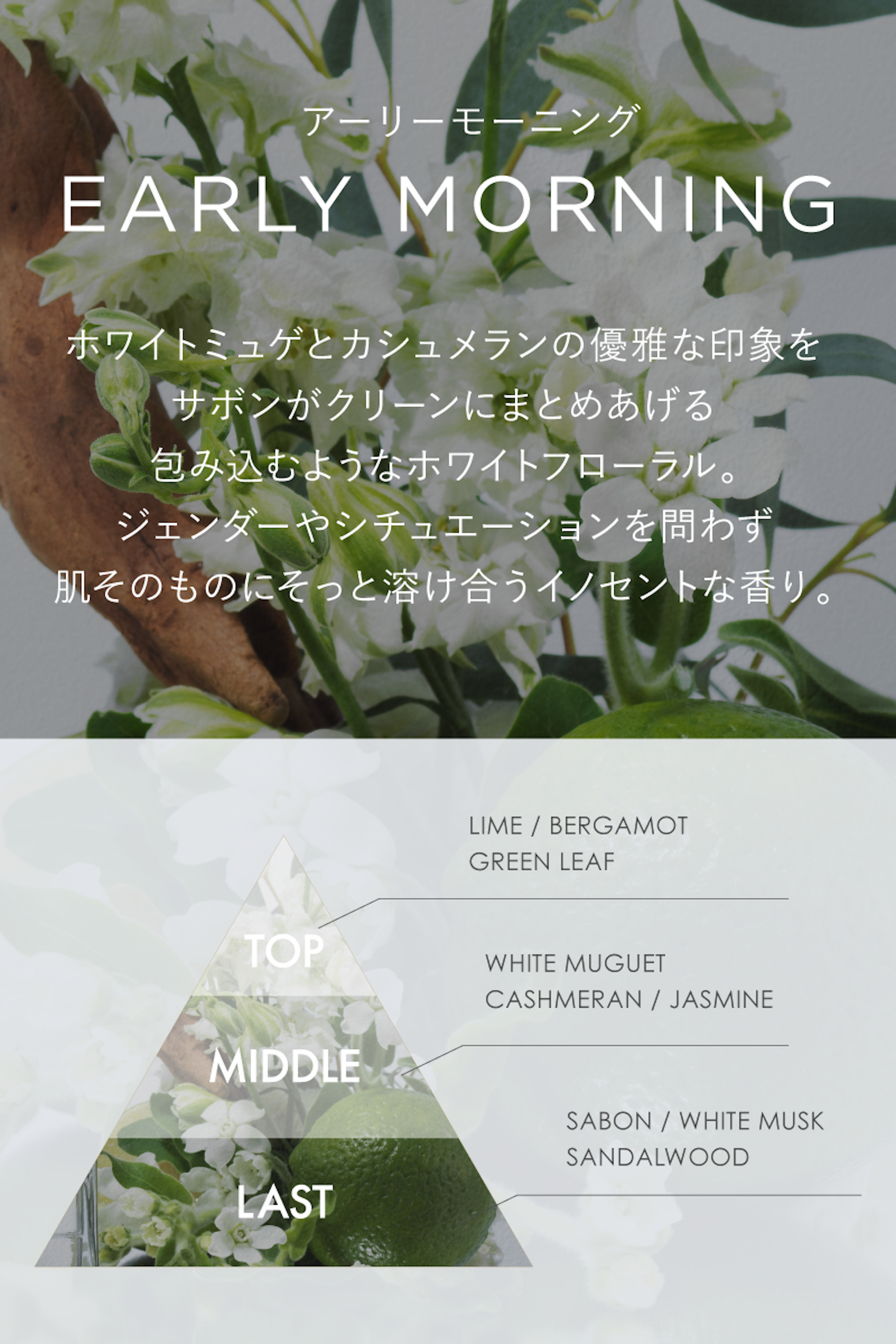 FRAGRANCE LETTER - Eau de Parfum -