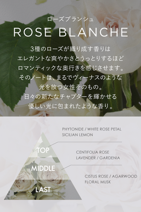 FRAGRANCE LETTER - Eau de Parfum -