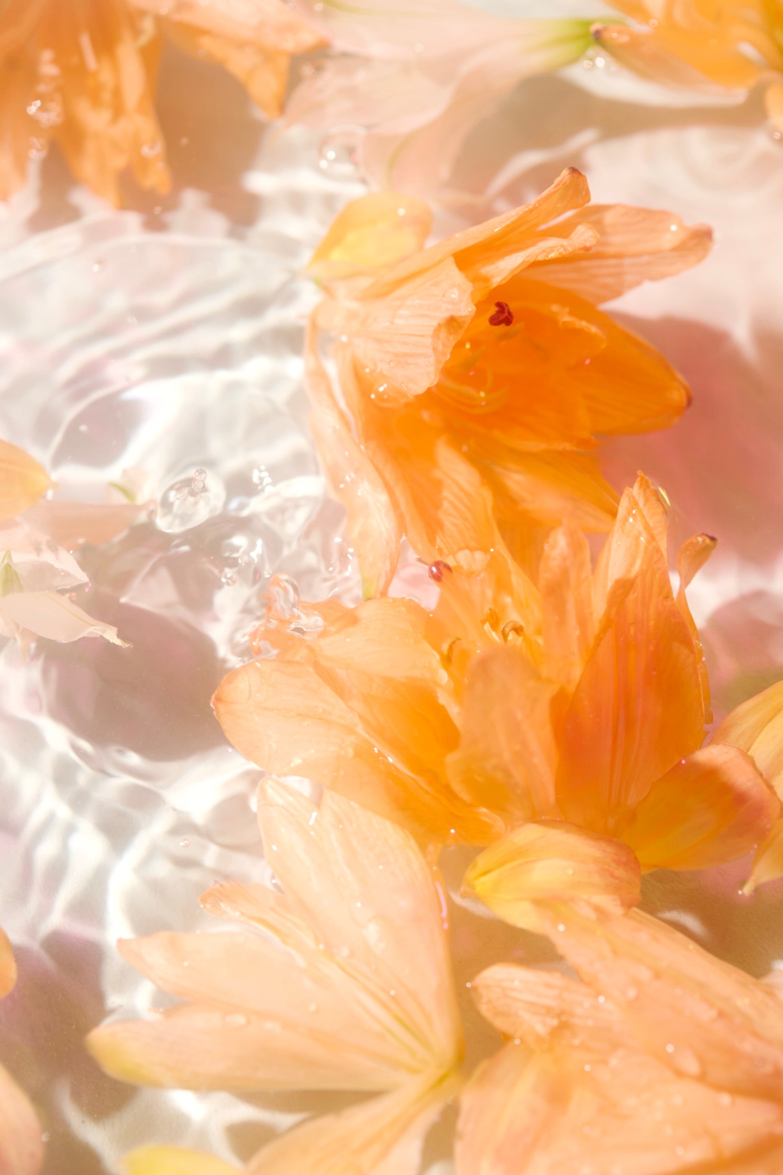 Perfume Oil - GOLDEN HOUR -