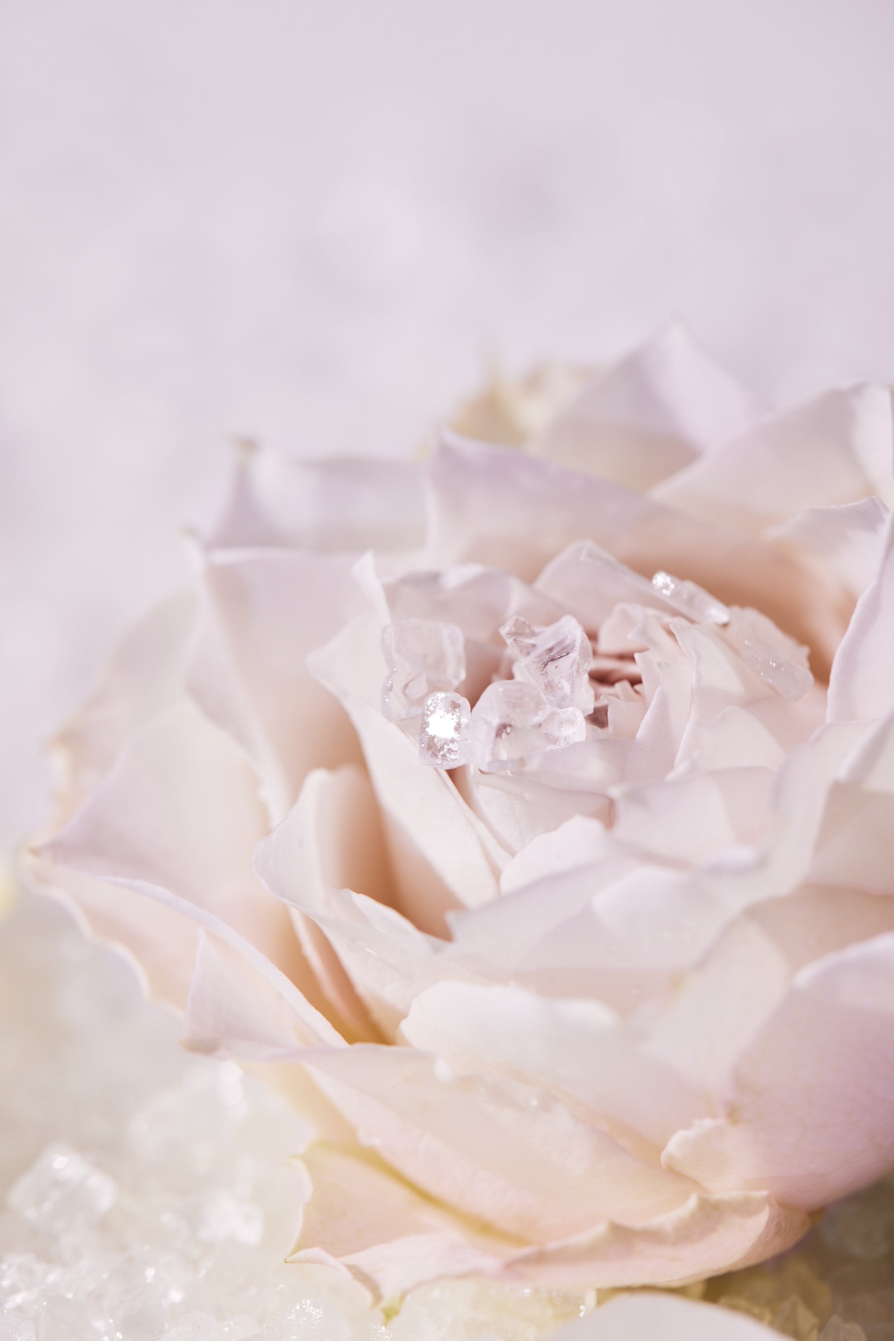 [End of listing] CRYSTAL BATH SALT - ROSE BLANCHE -