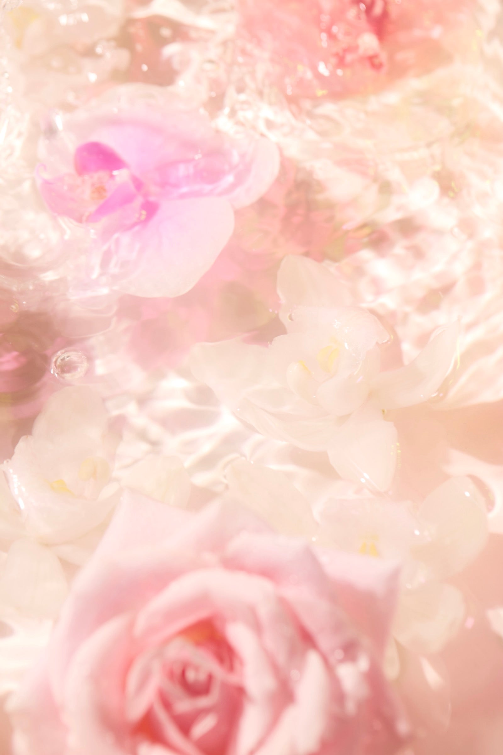 Perfume Oil - PINK SUEDE -