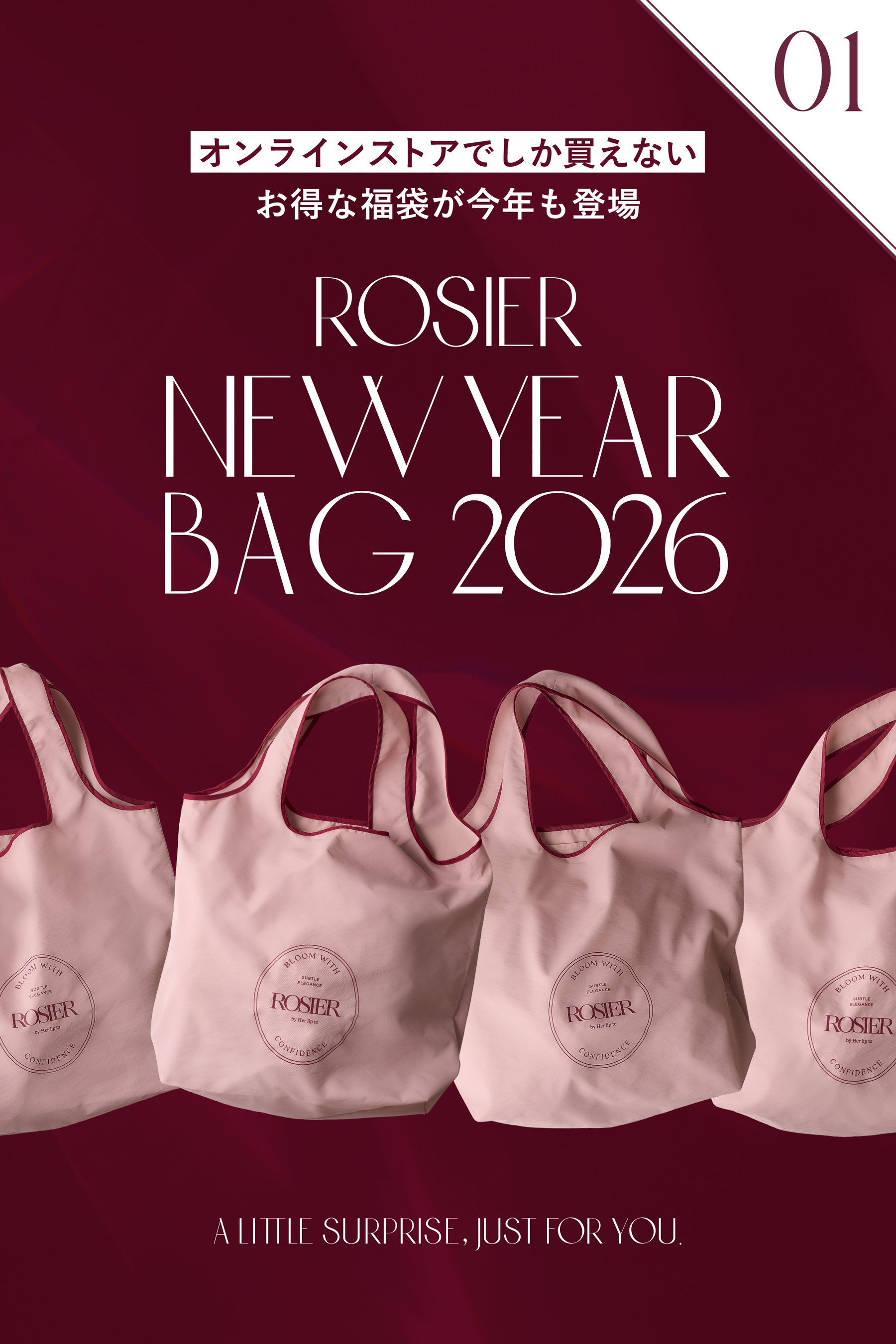 ROSIER New Year Bag 2026 -01-