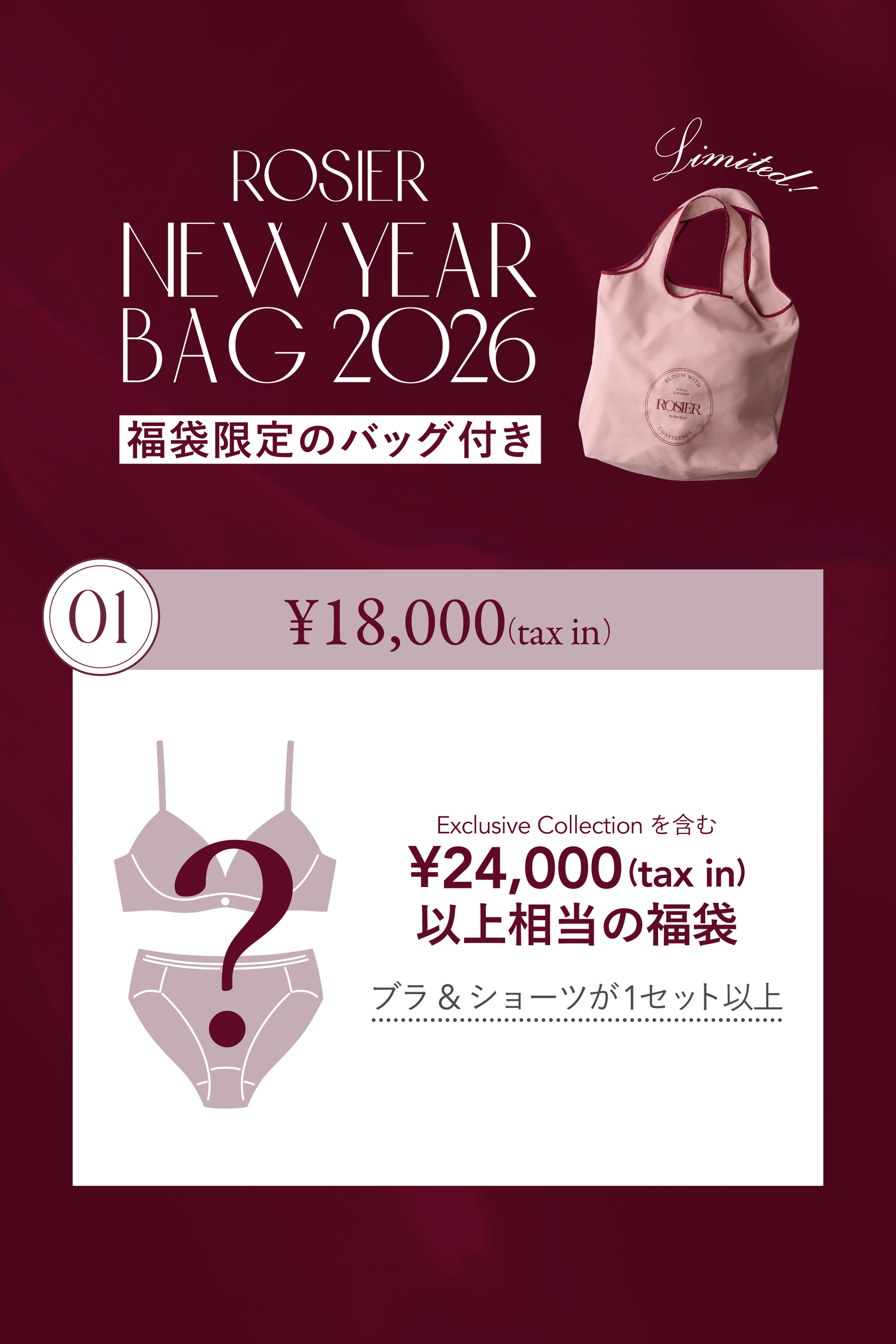 ROSIER New Year Bag 2026 -01-