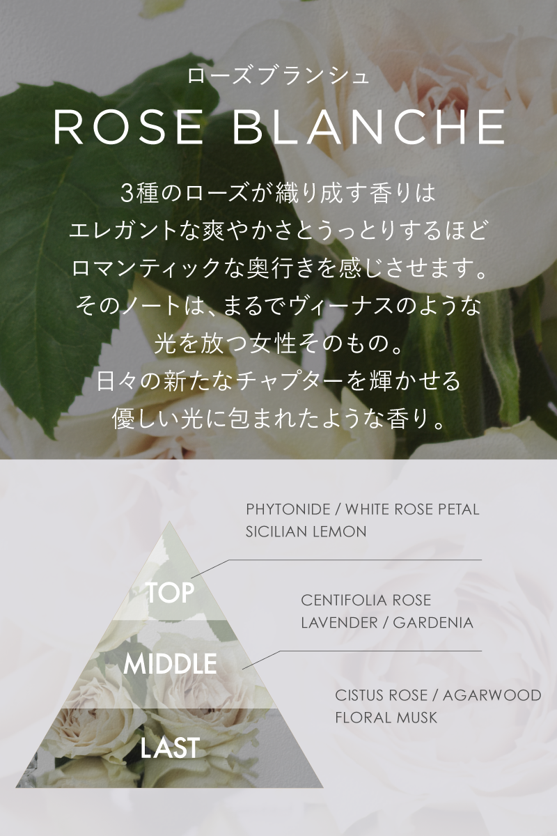 FRAGRANCE LETTER - Eau de Parfum -