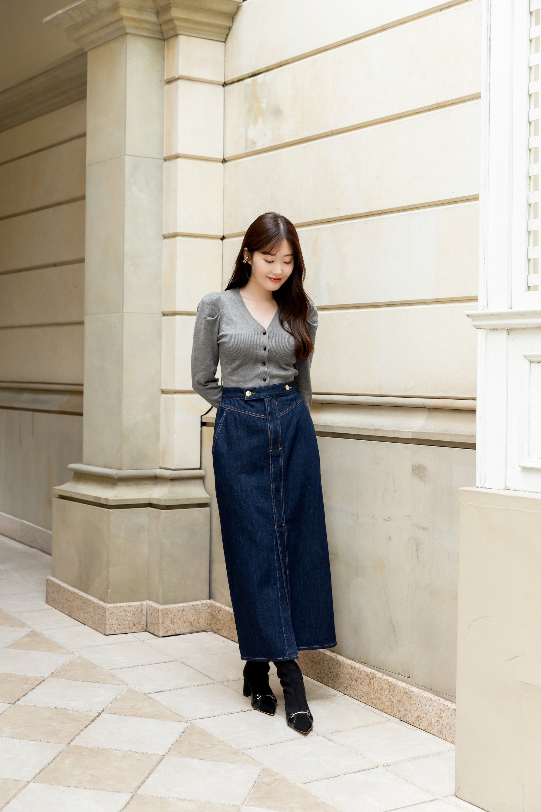 Denim Trimmed Volume Sleeve Dress