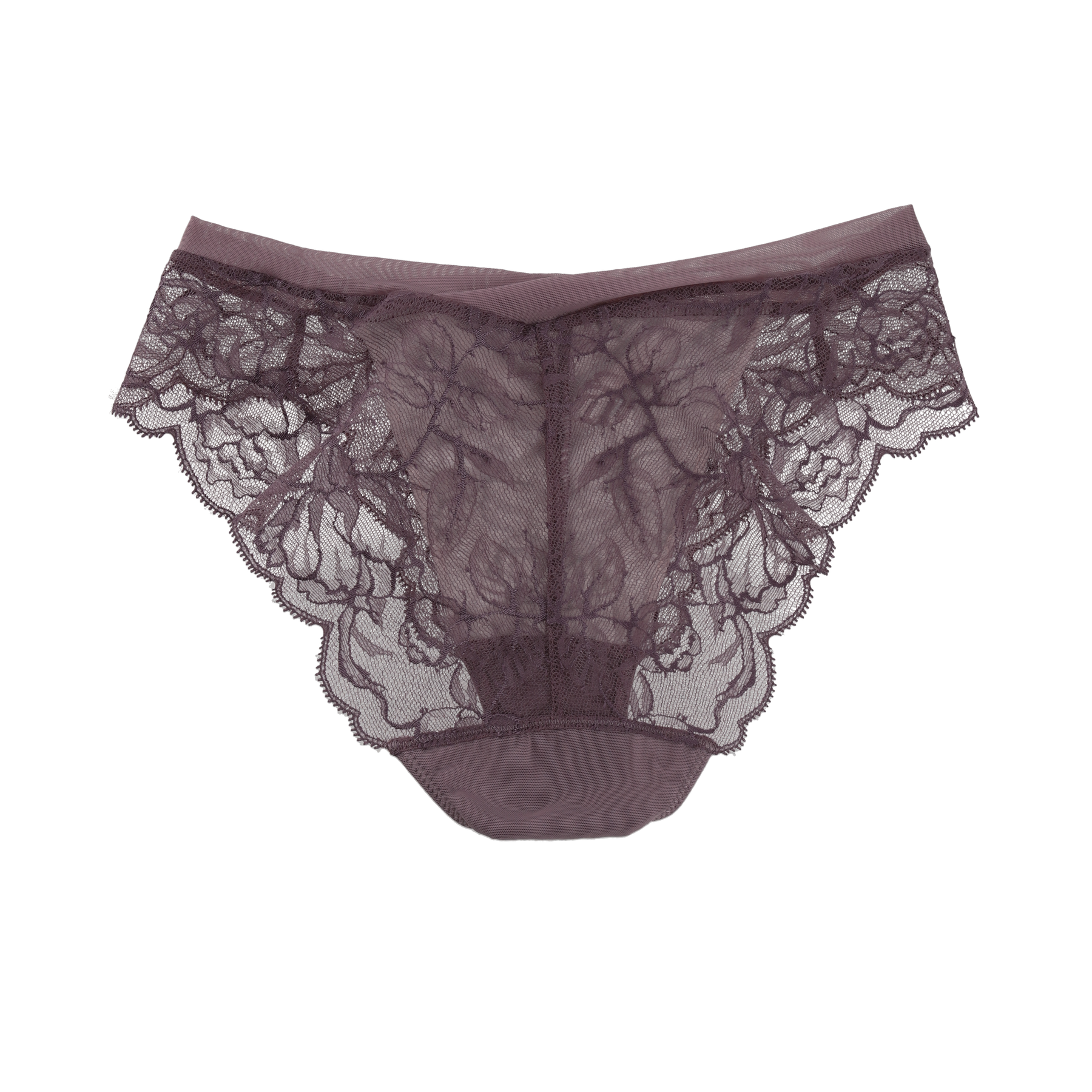 Rose Veil Shorts