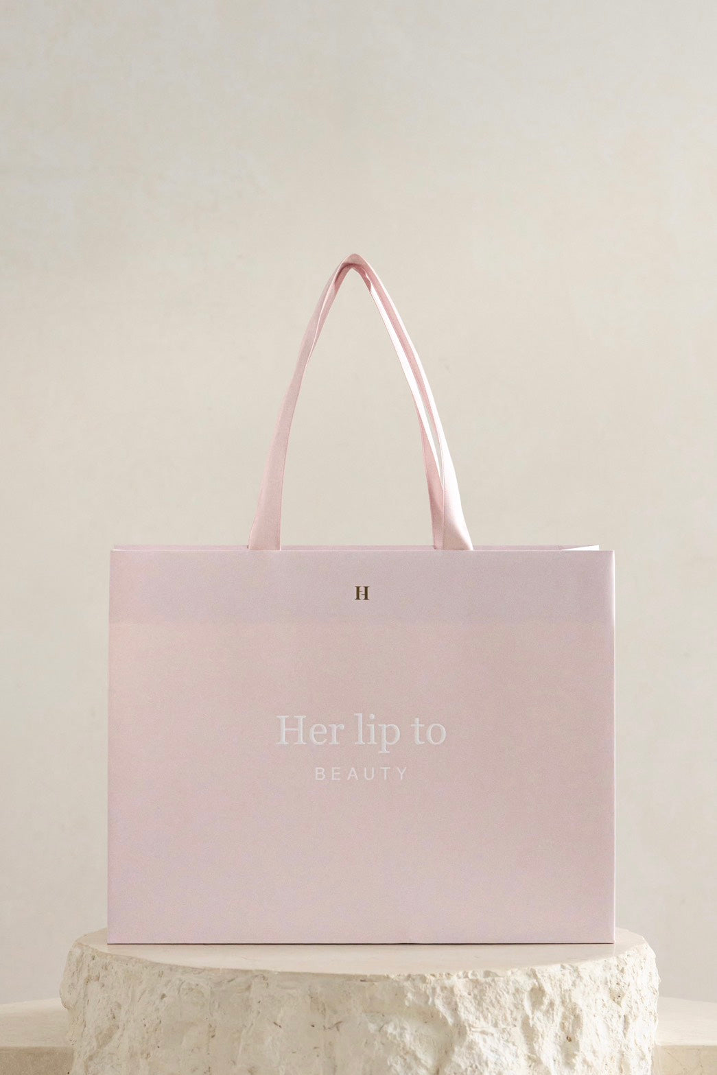 HLT BEAUTY bag【M】