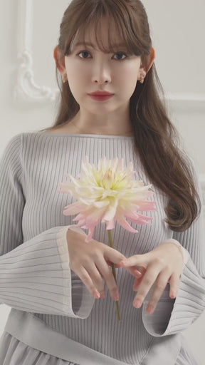 Chiffon Knit Docking Dress