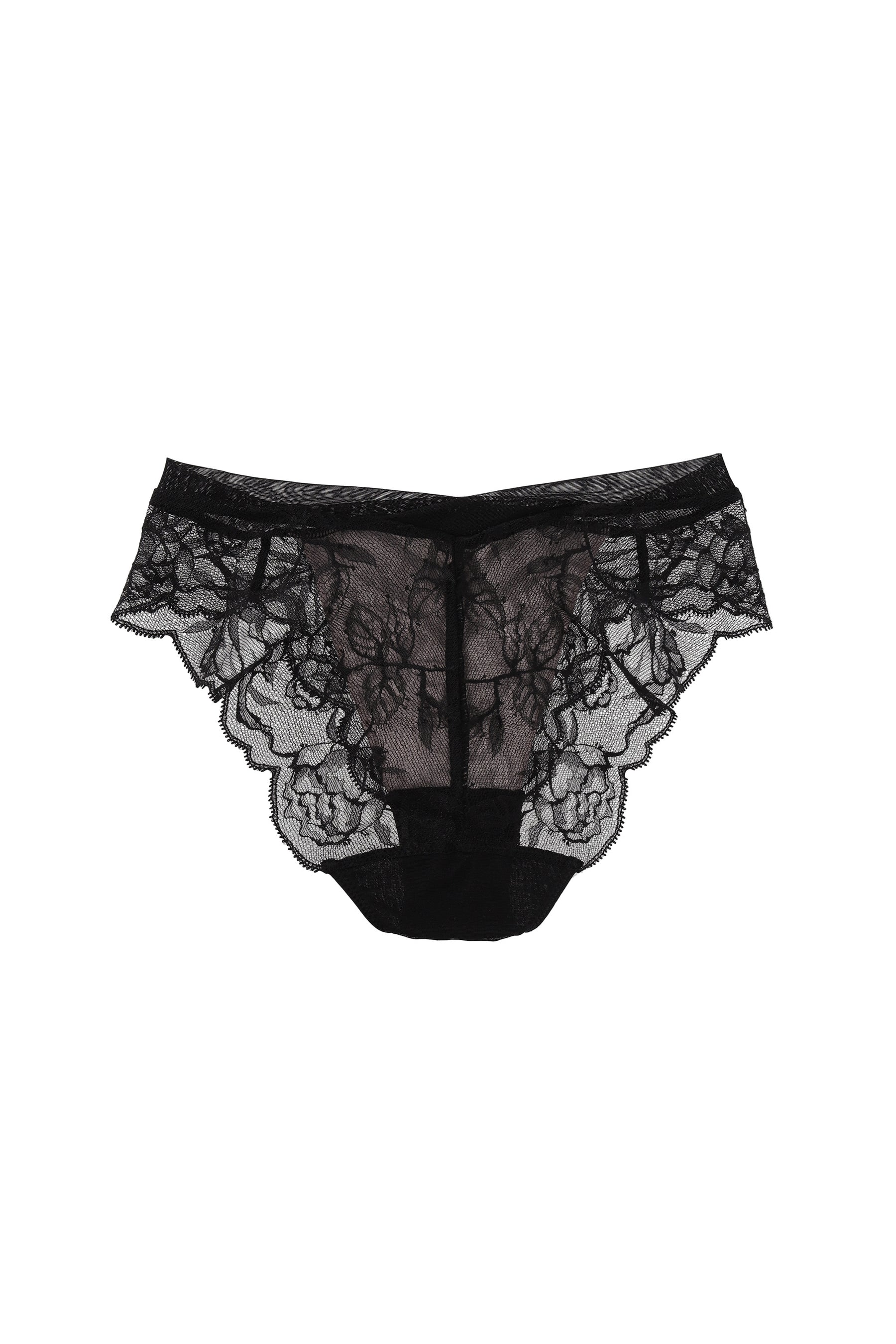 Rose Veil Shorts